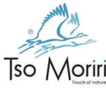 productLogo